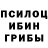 Галлюциногенные грибы мицелий Ursul Andriana