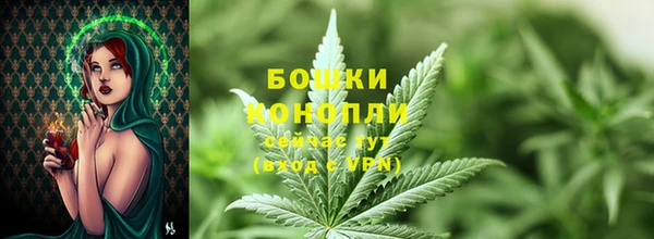 стаф Гусь-Хрустальный
