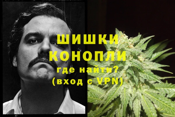 стаф Гусь-Хрустальный