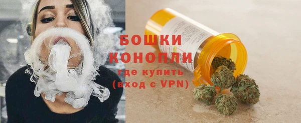 стаф Гусь-Хрустальный