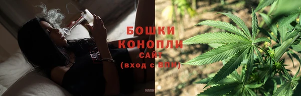 стаф Гусь-Хрустальный
