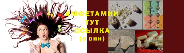 стаф Гусь-Хрустальный