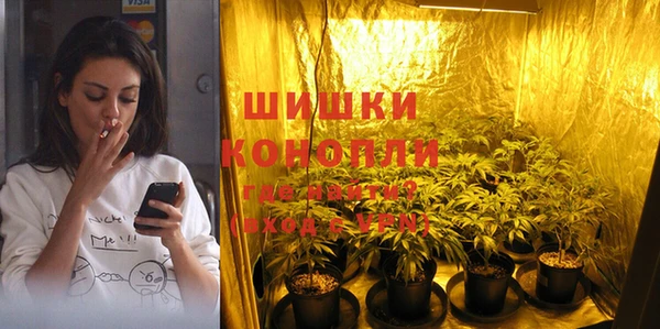 jwh Гусев