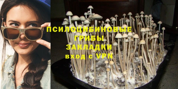 Альфа ПВП Гусиноозёрск
