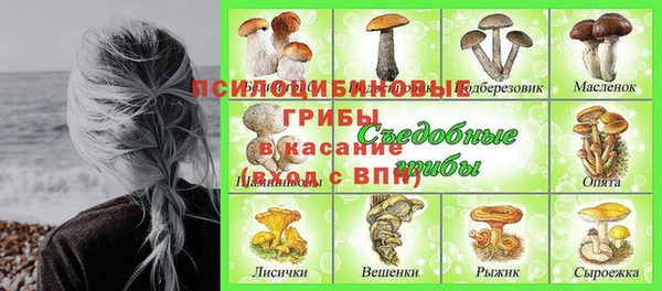 jwh Гусев