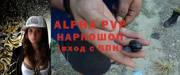 Альфа ПВП Гусиноозёрск