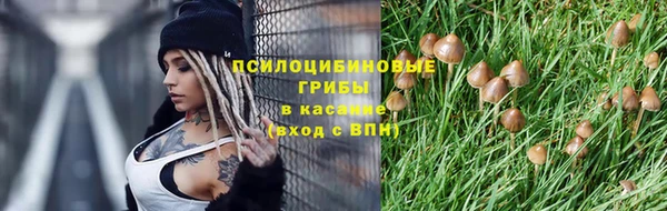 стаф Гусь-Хрустальный
